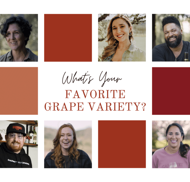 What's your favorite grape variety - asked SOMM TV cast