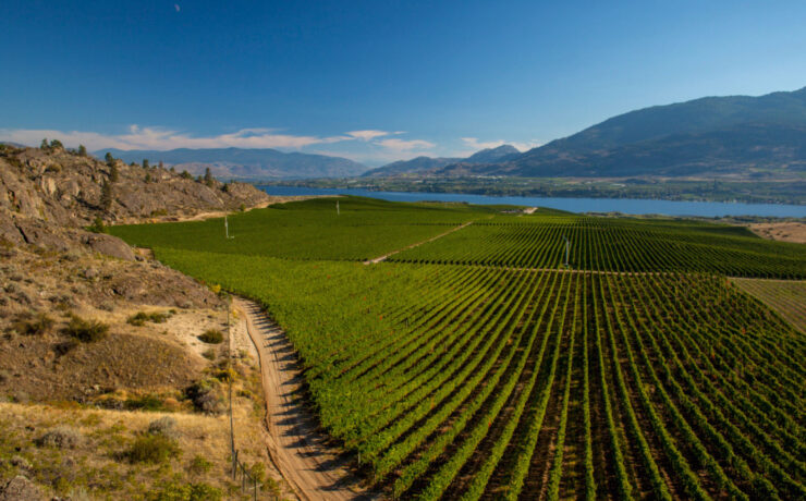 South Okanagan Wine