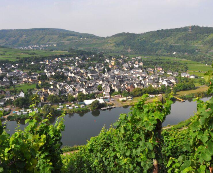 Germany wine regions
